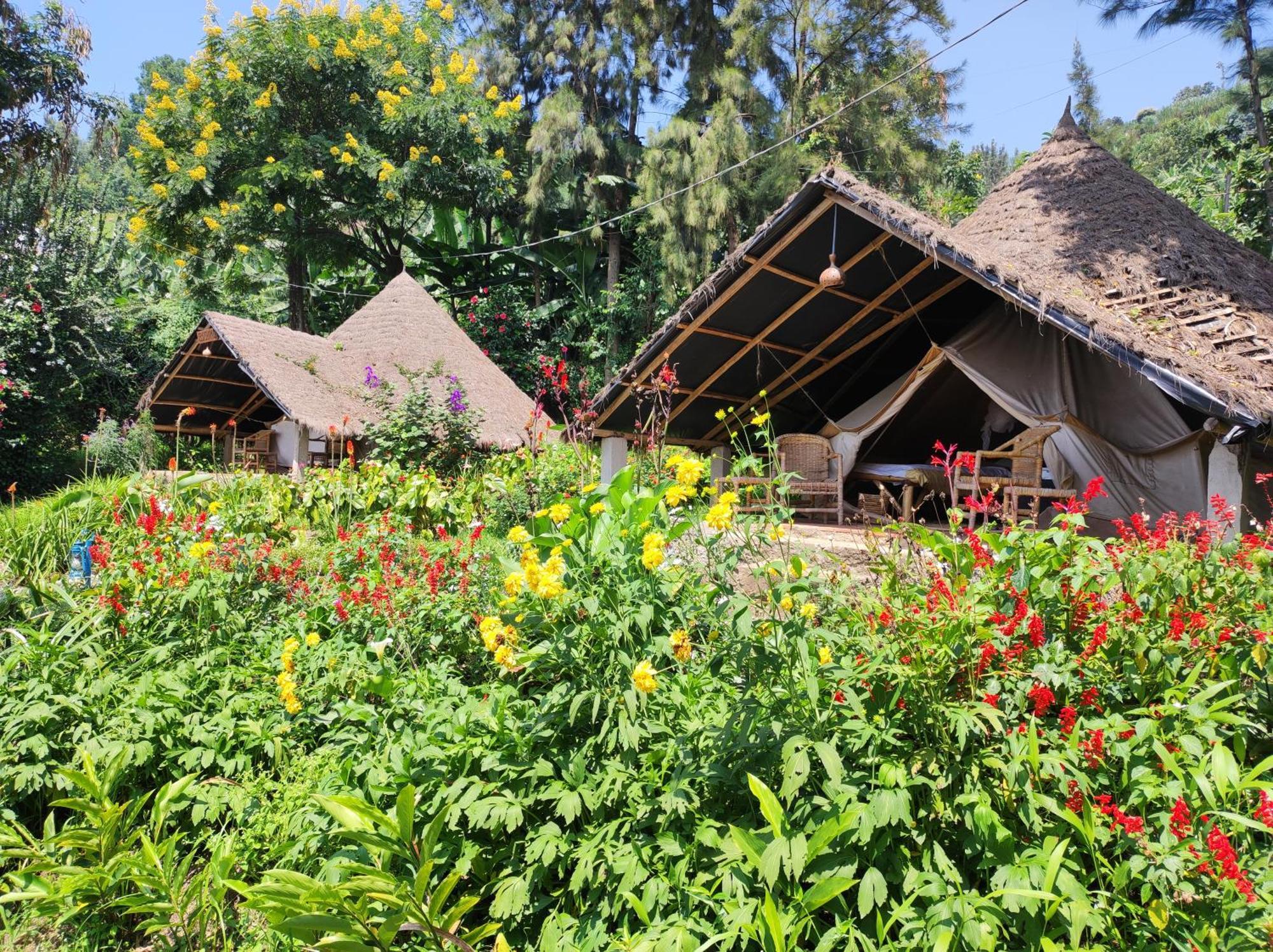 Inzu Lodge Гисеньи Экстерьер фото